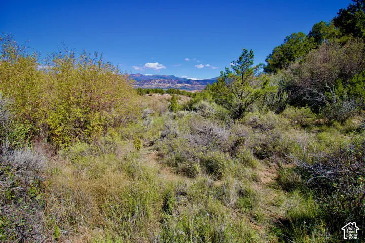 LOWER Lot - Looking N from S end of lot while standing on access trail