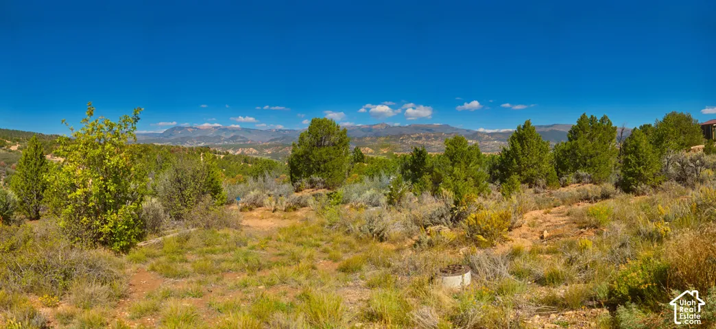 TOP LOT standing on main road looking NW (trailer removed)