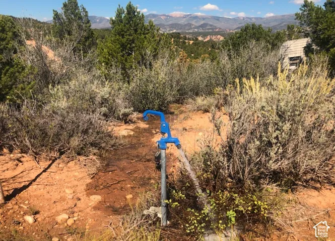 YES, A RARE WATER SHARE IS INCLUDED!  Tabiona has DELICOUS,  Fresh Underground Spring Water!  Freezeless Faucet on TOP Lot, too...