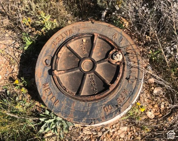 ...AND Your Water Meter in on your Top Lot, too!   Only $175/yr estimated water bill!