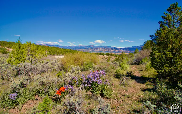 LOWER Lot, colorful, flatter terrain area, looking N over the valley.  WIDE, WONDERFUL VIEWS ALL AROUND.
