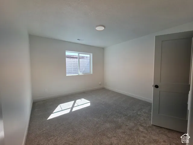 Neutral wall finishes, recessed lighting, and grey carpeting