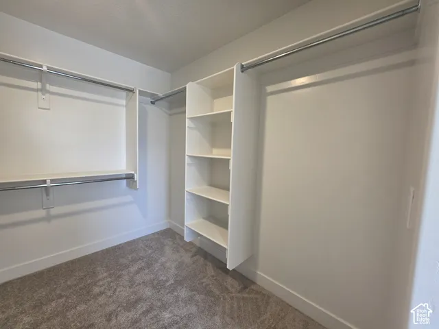 Walk-in closet with built-in shelving, multiple hanging rods, and carpet flooring