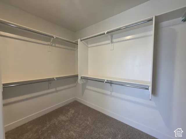 Walk-in closet with carpet flooring, white walls, and built-in white shelving