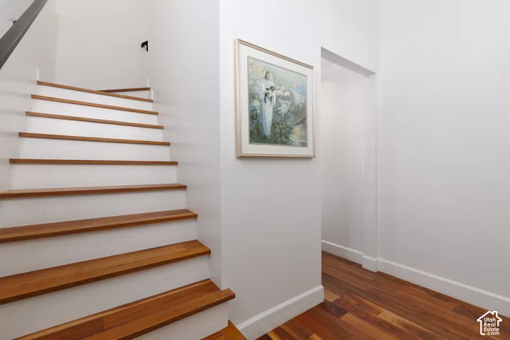 Wood-finish flooring with white baseboards, complemented by a staircase featuring wood-finish treads and white risers