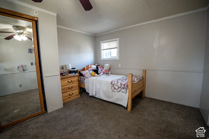 Textured carpeting, white trim work, ceiling fan, and a window with blinds
