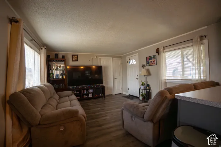 Living area featuring light gray walls, wood-finish flooring, white trim, and multiple windows