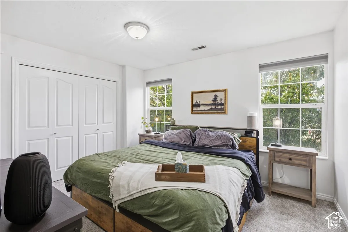 White walls, carpet flooring, a ceiling-mounted light fixture, and two large windows with roller shades