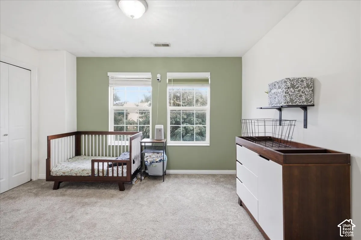Textured gray carpet flooring, a two-panel closet door, and a wall with a soft green accent