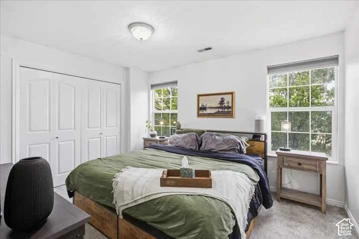 White walls, carpet flooring, a ceiling-mounted light fixture, and two large windows with roller shades