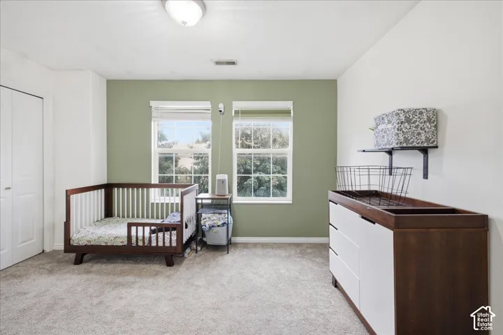 Textured gray carpet flooring, a two-panel closet door, and a wall with a soft green accent