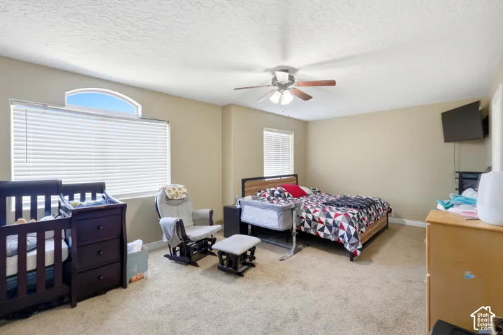 Carpeted room featuring a ceiling fan, dual windows with blinds, and neutral wall paint