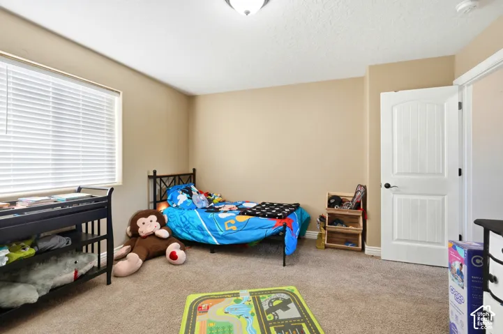 Carpeted flooring, neutral wall tones, white trim, and a white paneled door