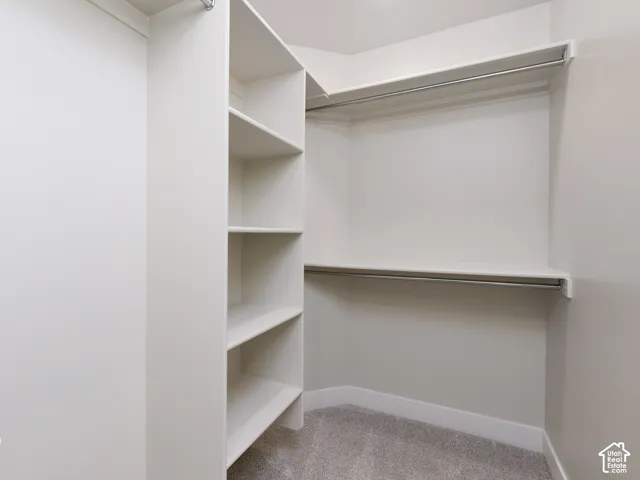 Custom closet system with built-in shelving, dual hanging rods, and light gray carpeting