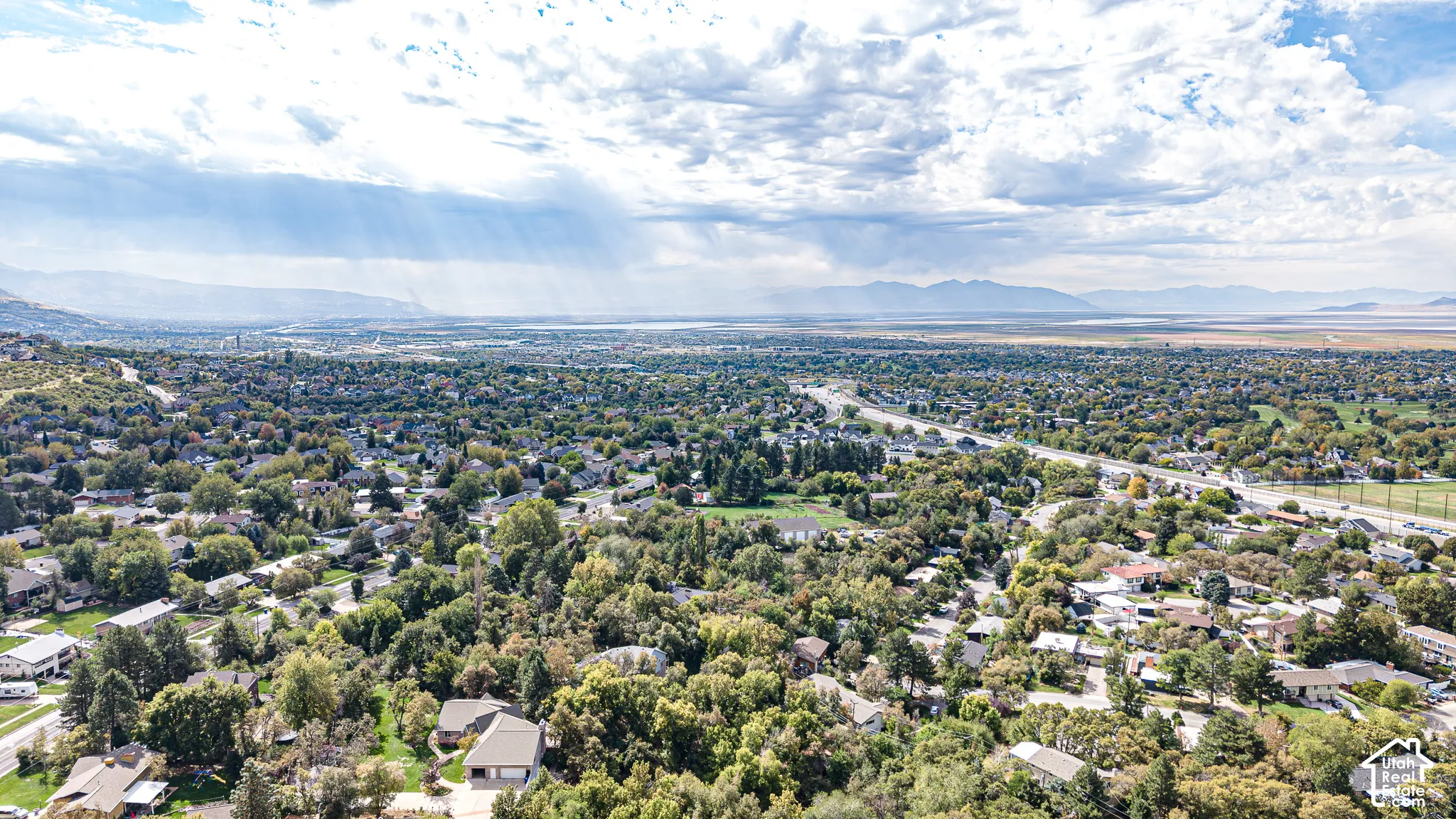 Expansive suburban landscape with abundant mature trees and a distant mountain range