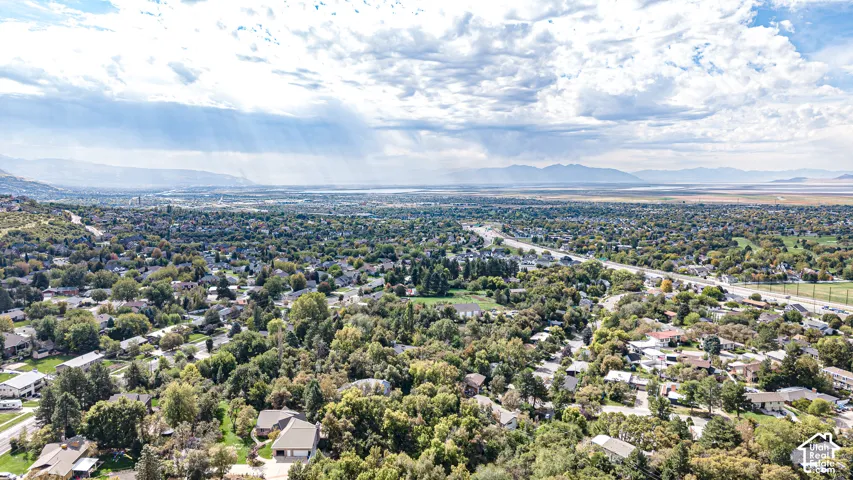 Expansive suburban landscape with abundant mature trees and a distant mountain range