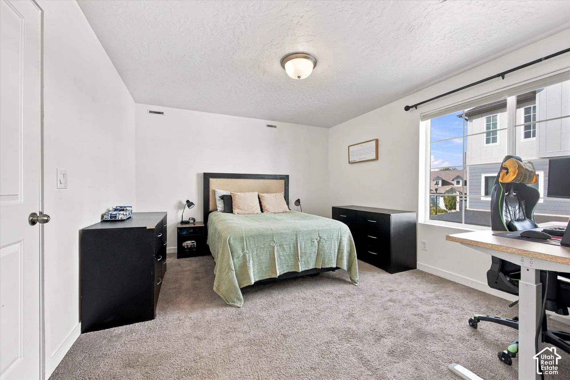 Plush carpeting, a large window providing natural light, a ceiling-mounted light fixture, and a solid core interior door