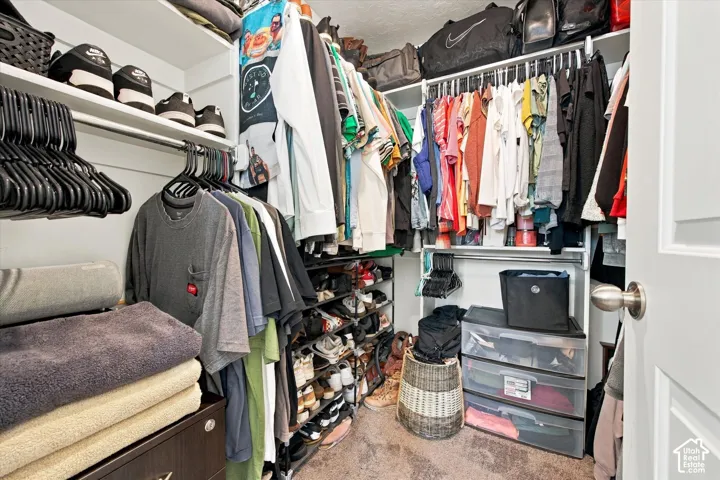 Custom closet system featuring multiple hanging rods, integrated shelving, and carpet flooring