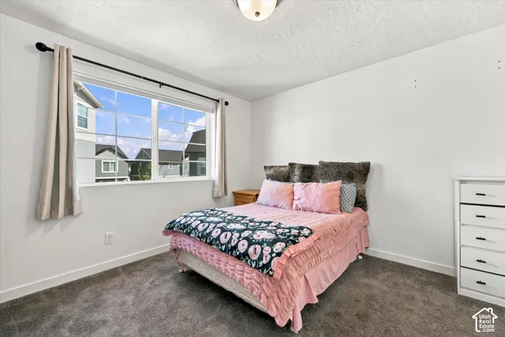 Window with grid pattern, neutral wall paint, textured ceiling, and gray carpeting