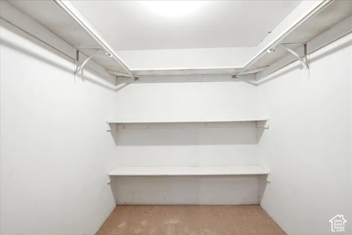 Wall-mounted shelving units and clothing rods