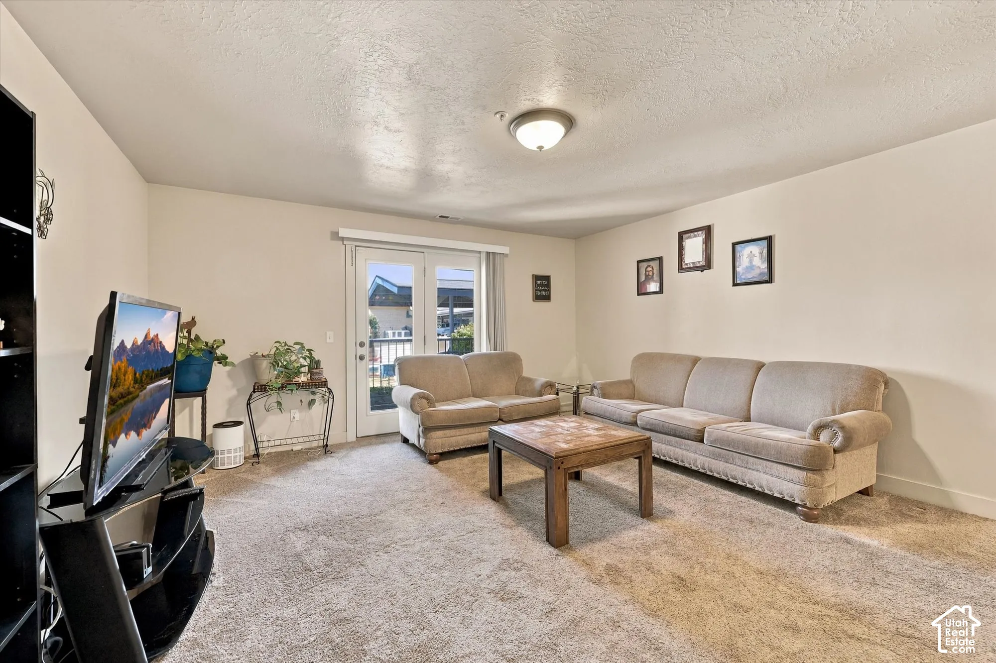 Carpeted living area featuring light-colored walls and a ceiling-mounted fixture