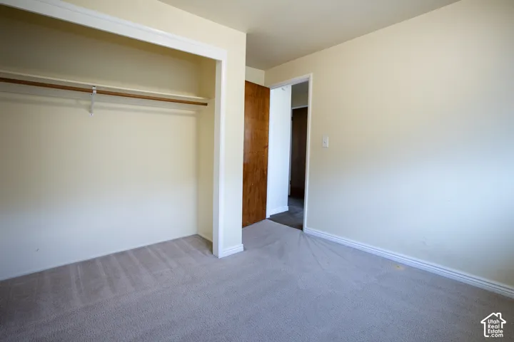 Wall-to-wall carpeting, open closet with hanging rod, and a solid wood door