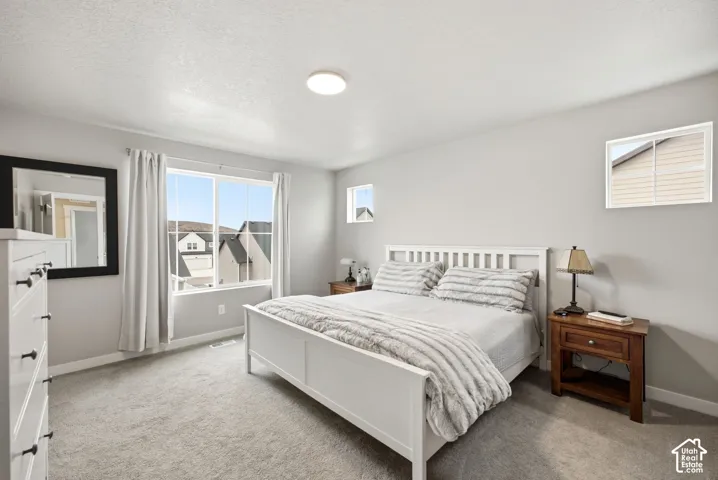 Neutral wall paint, light gray carpet, and white trim