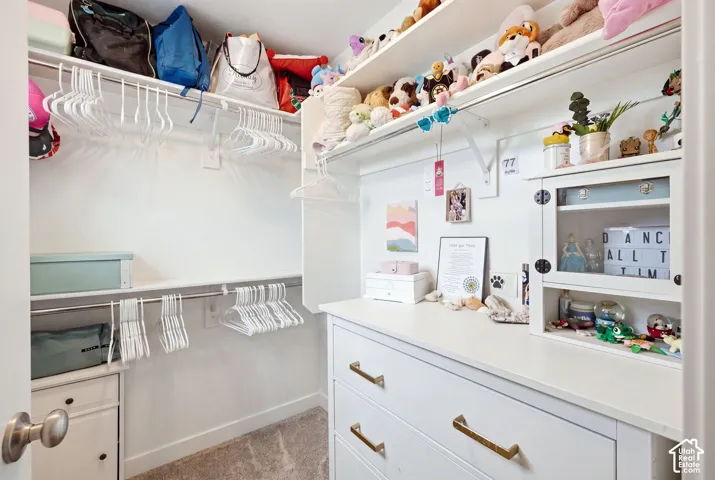 Built-in white cabinetry with brass hardware, integrated shelving, and hanging rods