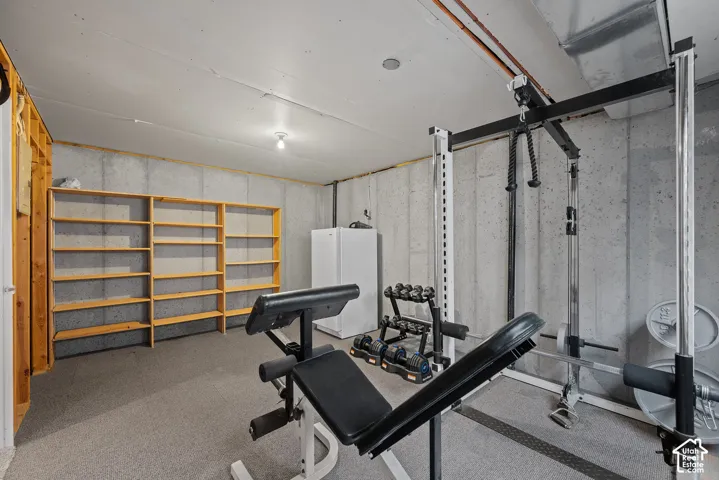 Concrete walls, built-in wooden shelving, and carpeting