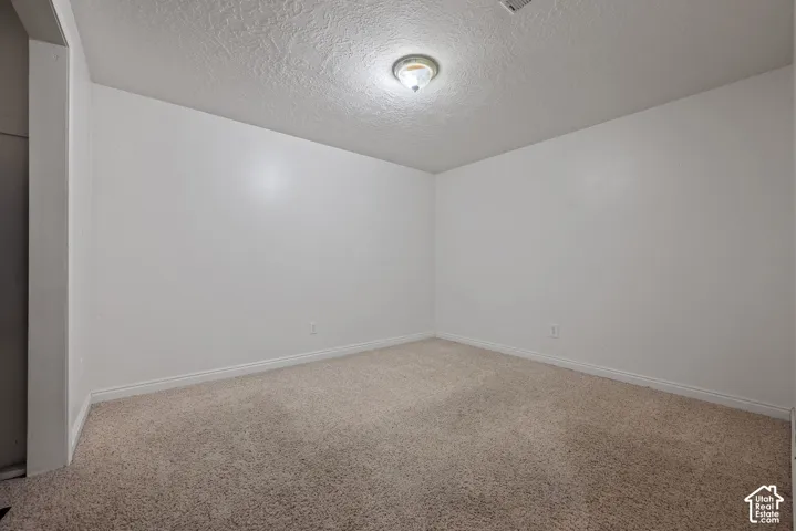 Neutral wall color with textured ceiling, flush mount lighting, and carpeted flooring