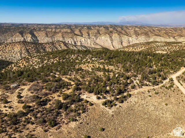 Expansive acreage featuring abundant evergreen trees, a visible dirt road, and a distant mountain range