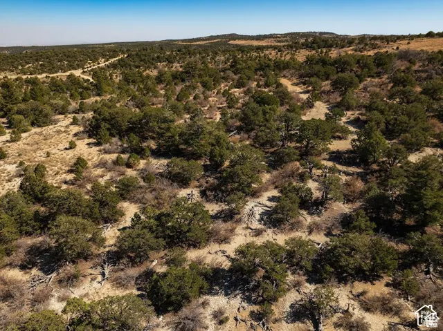 Expansive natural landscape featuring varied terrain and abundant evergreen trees