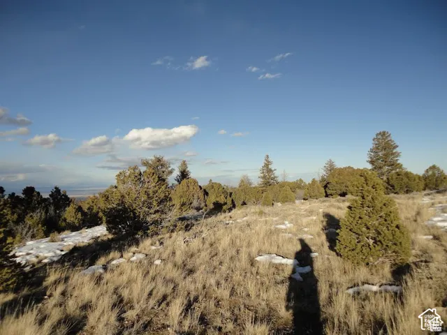 Expansive natural landscape featuring varied topography, mature evergreen trees, and native grasses