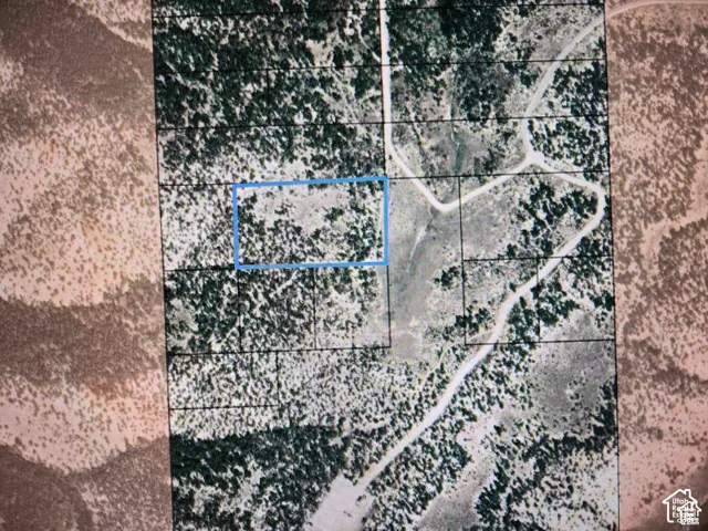 Survey Map. Depicting the property's boundaries and surrounding terrain