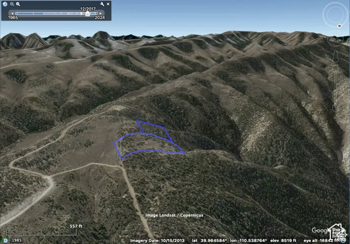 Geographic Information System (GIS) Data. Displaying the property's location and topographical features within a satellite imagery interface