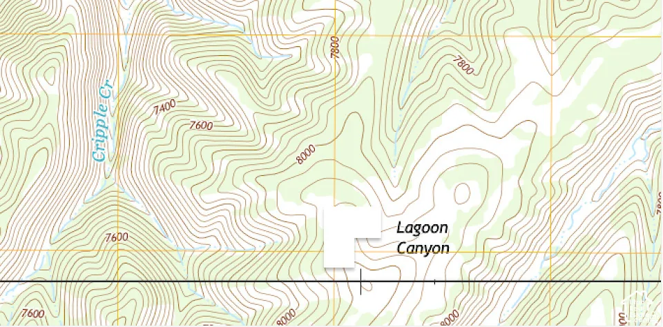 Topographic Map. Displaying elevation contours and geographic features of the property