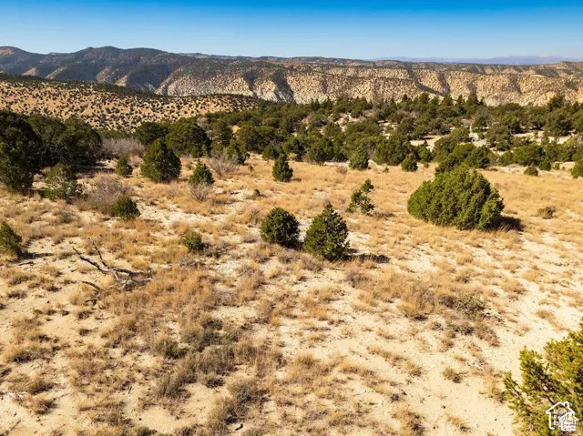 Expansive undeveloped land featuring natural vegetation and distant mountain ranges