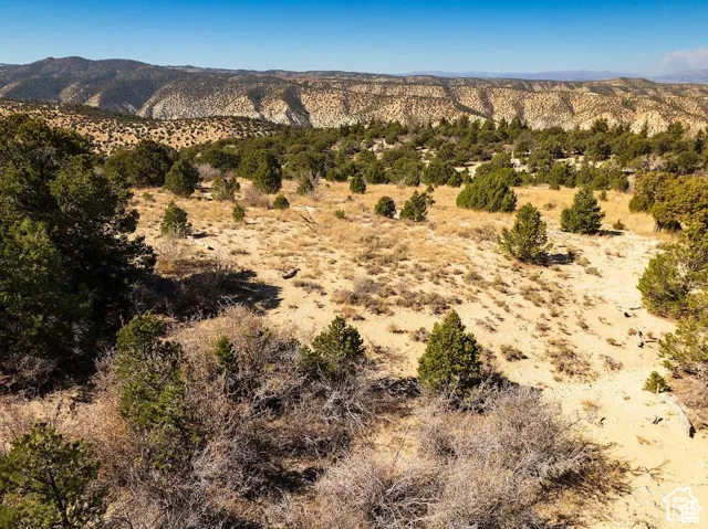 Expansive desert landscape featuring rolling hills and distant mountains