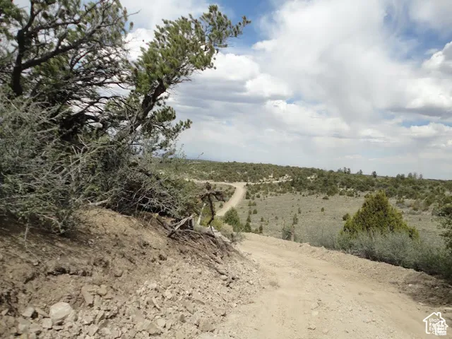 Expansive natural landscape with varied terrain and established trees