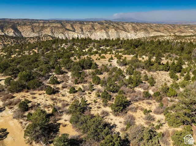 Expansive natural landscape with varied terrain and established trees