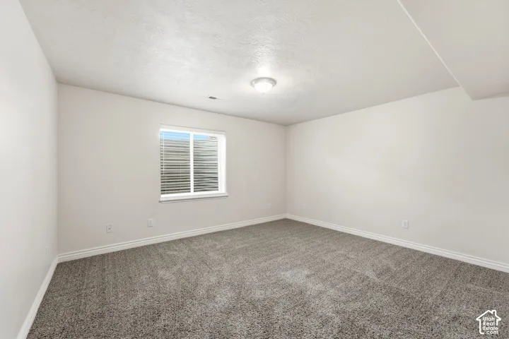 Bedroom #4 - Basement