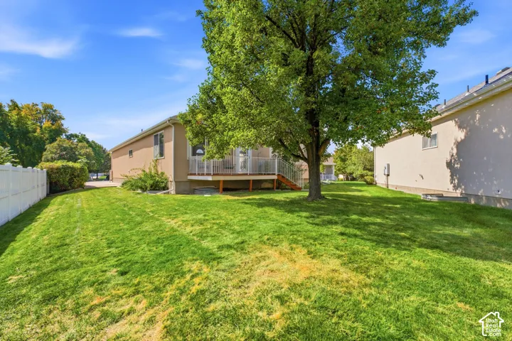Back lawn area with wood deck and mature tree