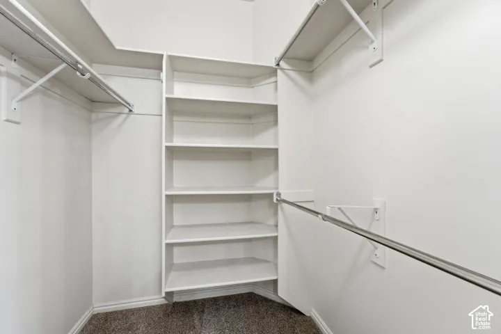 Primary walk-in closet with built-in shelving and carpeted flooring