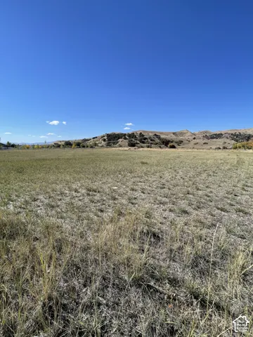 Expansive open terrain with natural grass, offering a backdrop of rolling hills and a clear blue sky