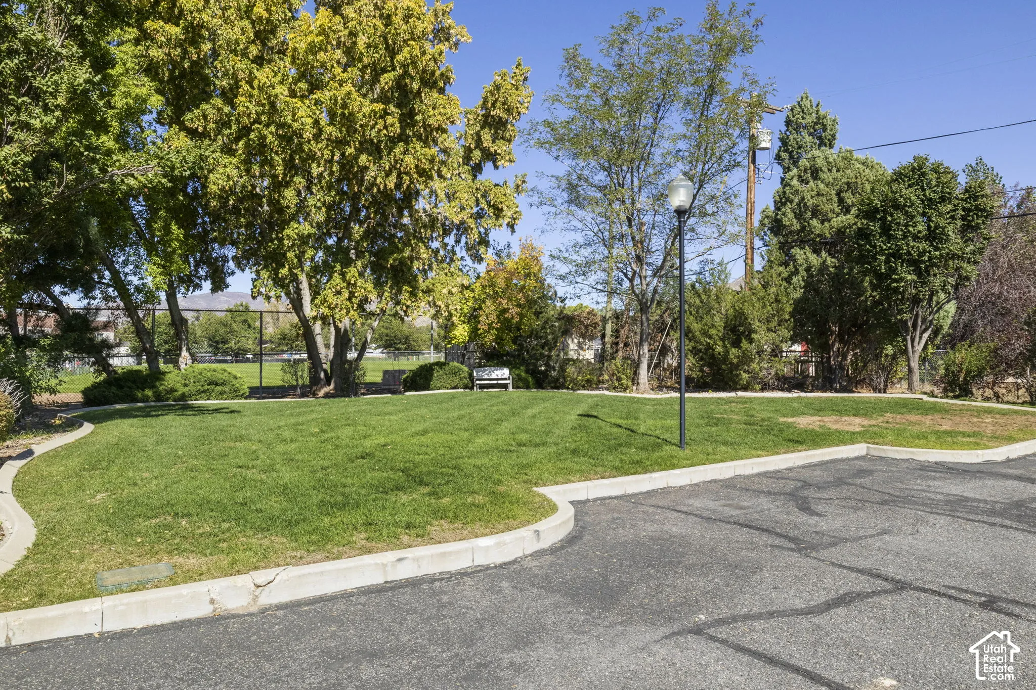 Communal Dog Park