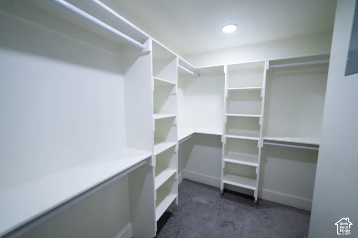 Built-in shelving, hanging rods, recessed ceiling lighting, and carpet flooring