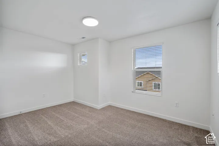 Carpeted flooring, white walls, two windows with blinds, and a flush-mount ceiling light fixture