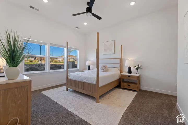 Master Bedroom with West Facing Windows