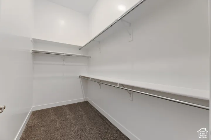 Built-in shelving and hanging rods in a neutral color palette with plush carpet flooring