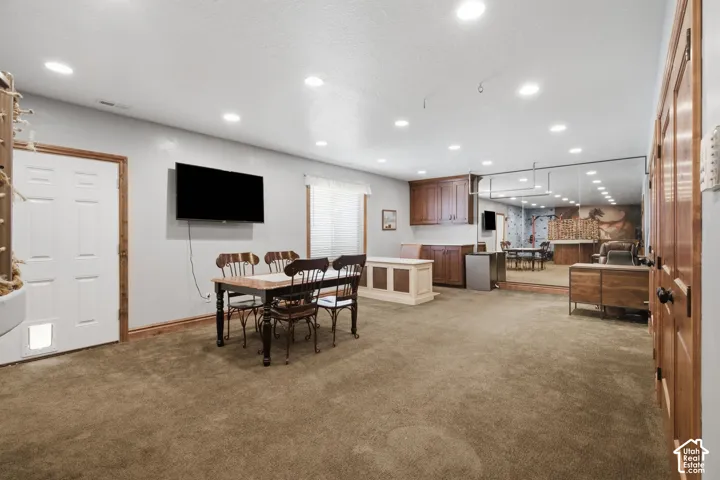 Recessed lighting illuminates a spacious room featuring brown carpeting, a paneled door with a pet door, and a built-in cabinetry area with a countertop